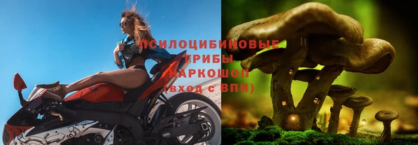 дмт Нягань