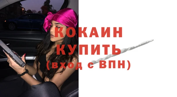 дмт Нягань