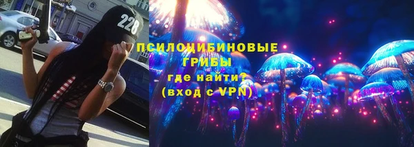 дмт Нягань